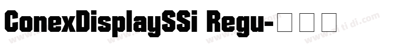 ConexDisplaySSi Regu字体转换